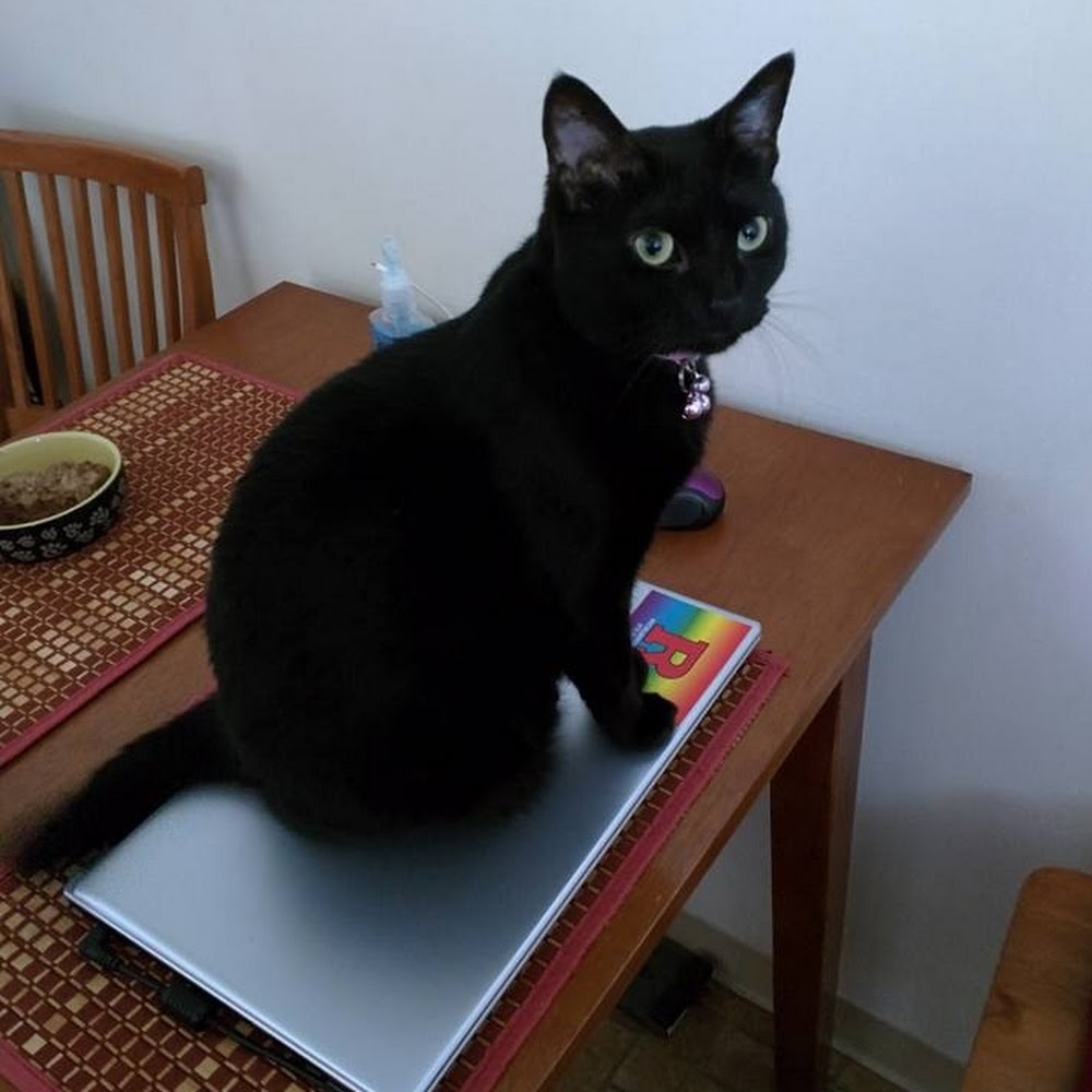 Meet your Posher, Laura